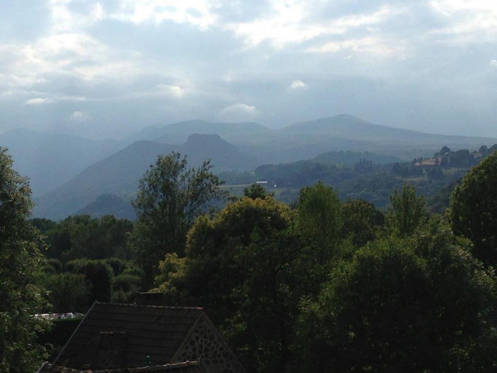 La Vue Sur Le Paradis Chambon-sur-Lac Zimmer foto